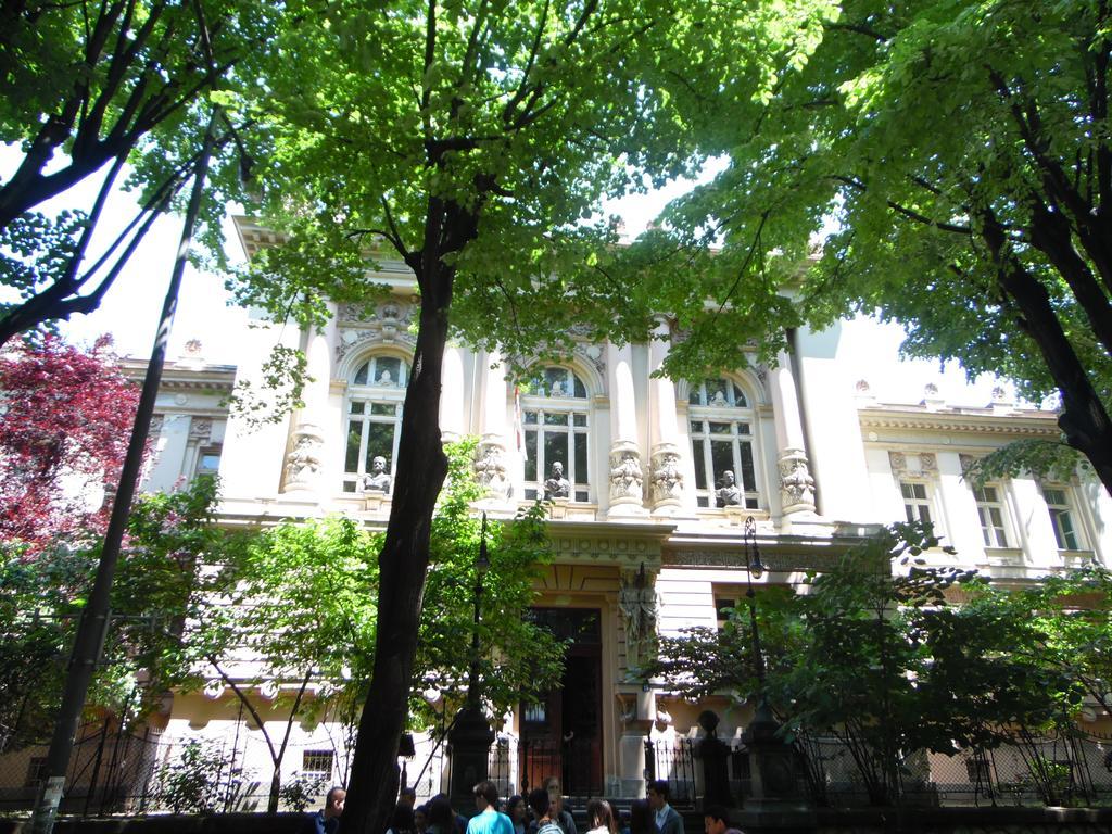 Apartment Vracar Belgrad Cameră foto